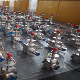 Cryogenic valve 01
