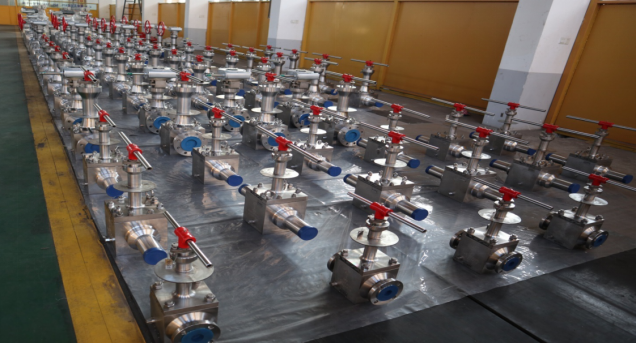 Cryogenic valve 01